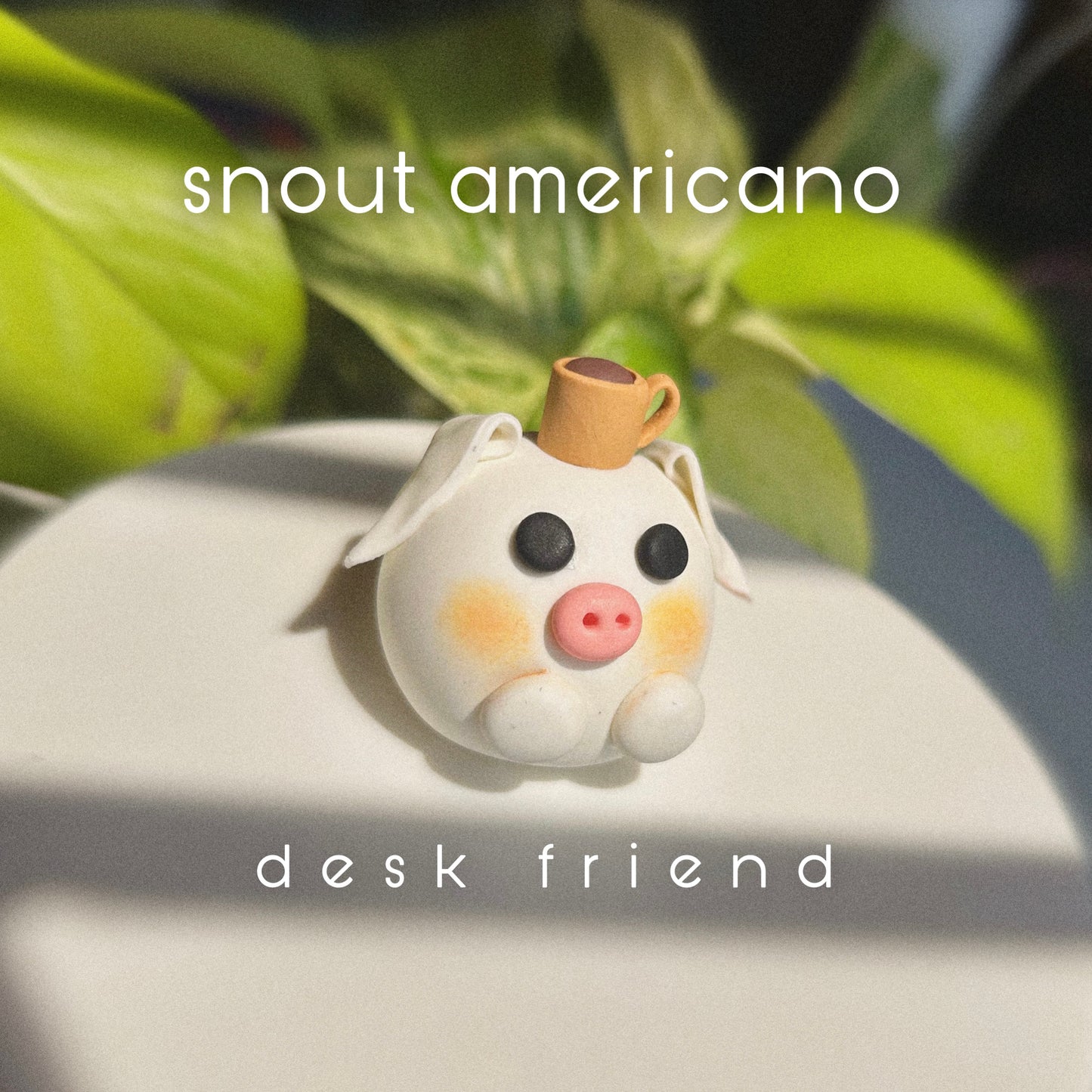 Snout Americano: Desk Friend