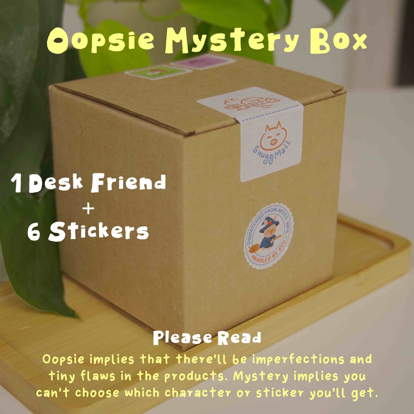 Desk Friend & Sticker Bundle - Oopsie Mystery Box